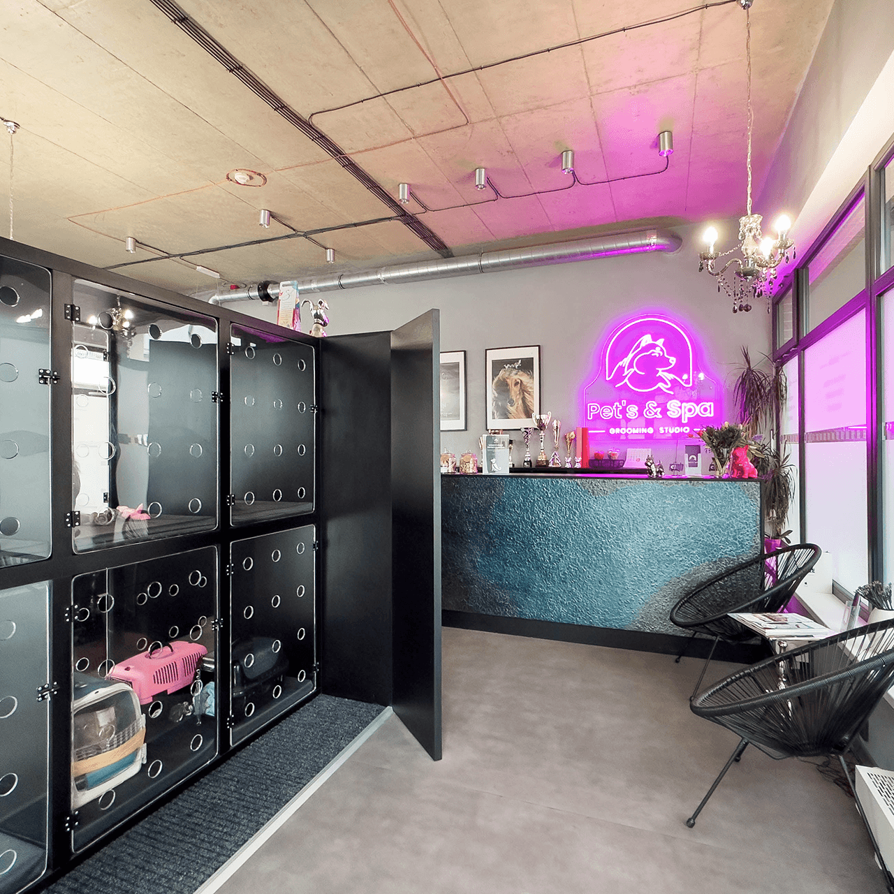 Recepce salonu Pet’s & Spa s neonovou vývěskou a čekací zónou