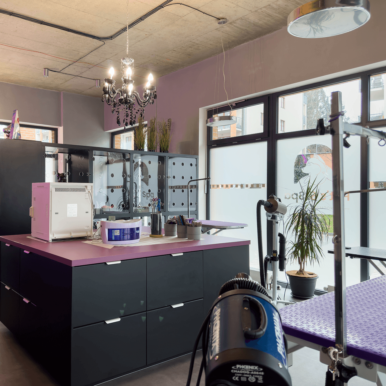 Interiér salonu Pet’s & Spa s pracovní zónou pro grooming a velkými okny
